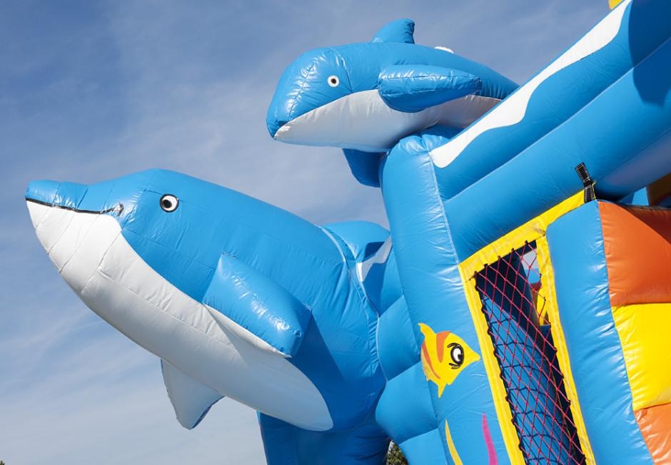 Le dauphin 2